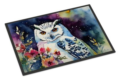 NEW Snowy Owl Doormat Front Door Mat Indoor Outdoor Rugs for Entryway, Non Slip Washable Low Pile, 18H X 27W