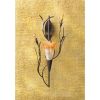 Dawn Lily Wall Sconce